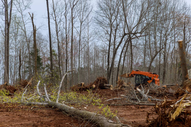 Soil Testing and Treatment in Massanutten, VA